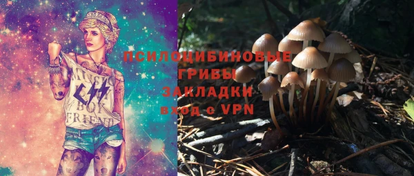 mdpv Горнозаводск