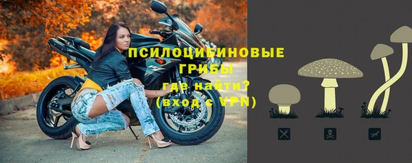 гидропоника Горняк