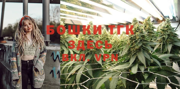 mdpv Горнозаводск