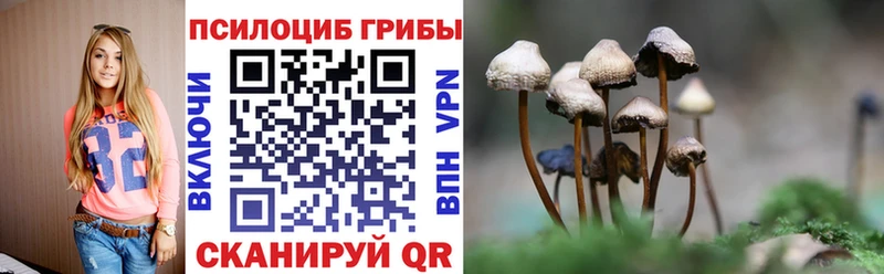 Псилоцибиновые грибы прущие грибы  Купить закладки  Светогорск 